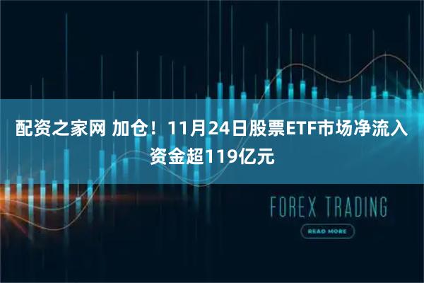 配资之家网 加仓!11月24日股票ETF市场净流入资金超119亿元